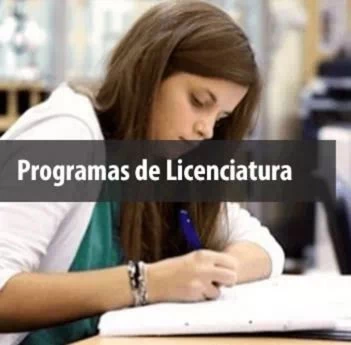 Bachelor programs