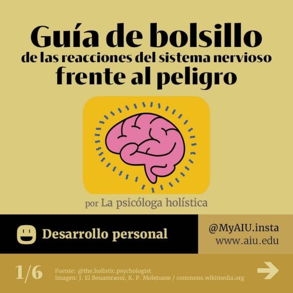 02MyAIUSlidesSpanish01