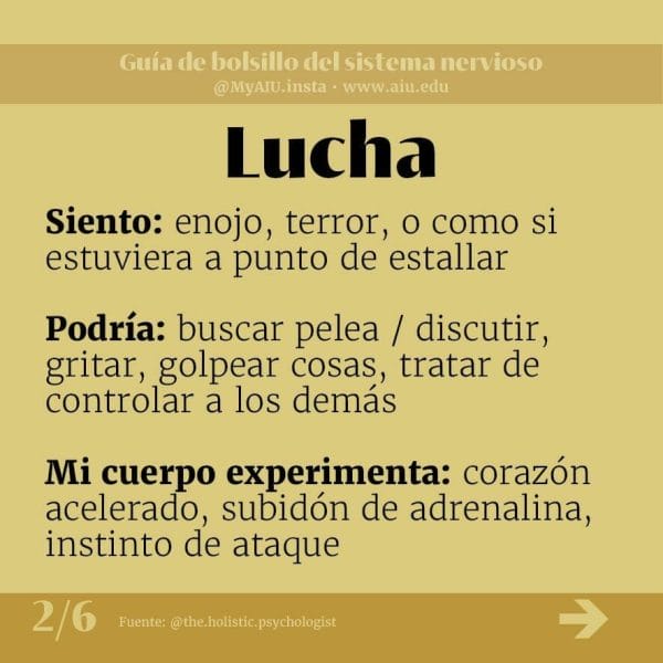 02MyAIUSlidesSpanish02