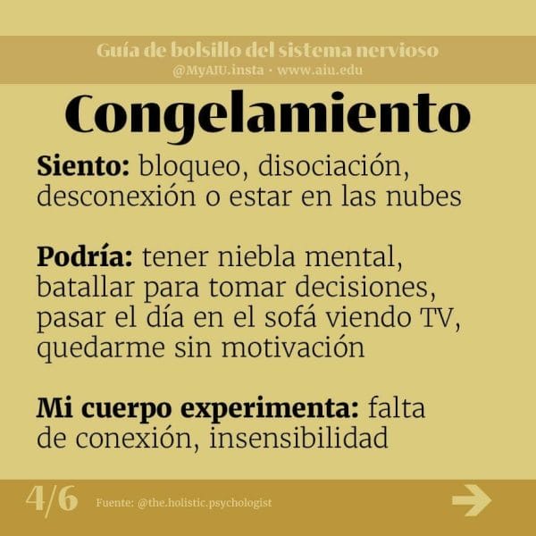 02MyAIUSlidesSpanish04