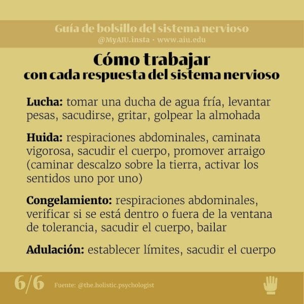 02MyAIUSlidesSpanish06