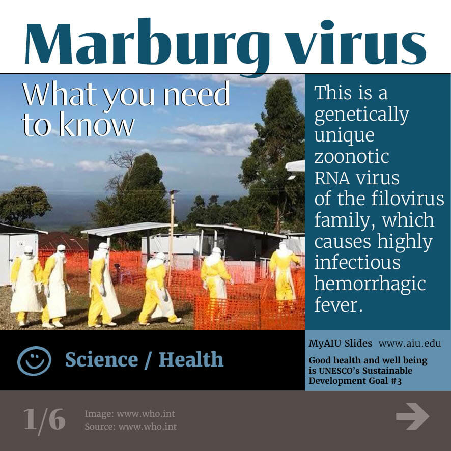 Margurb Virus