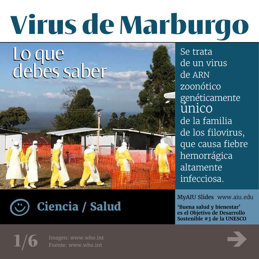 Virus Margurb
