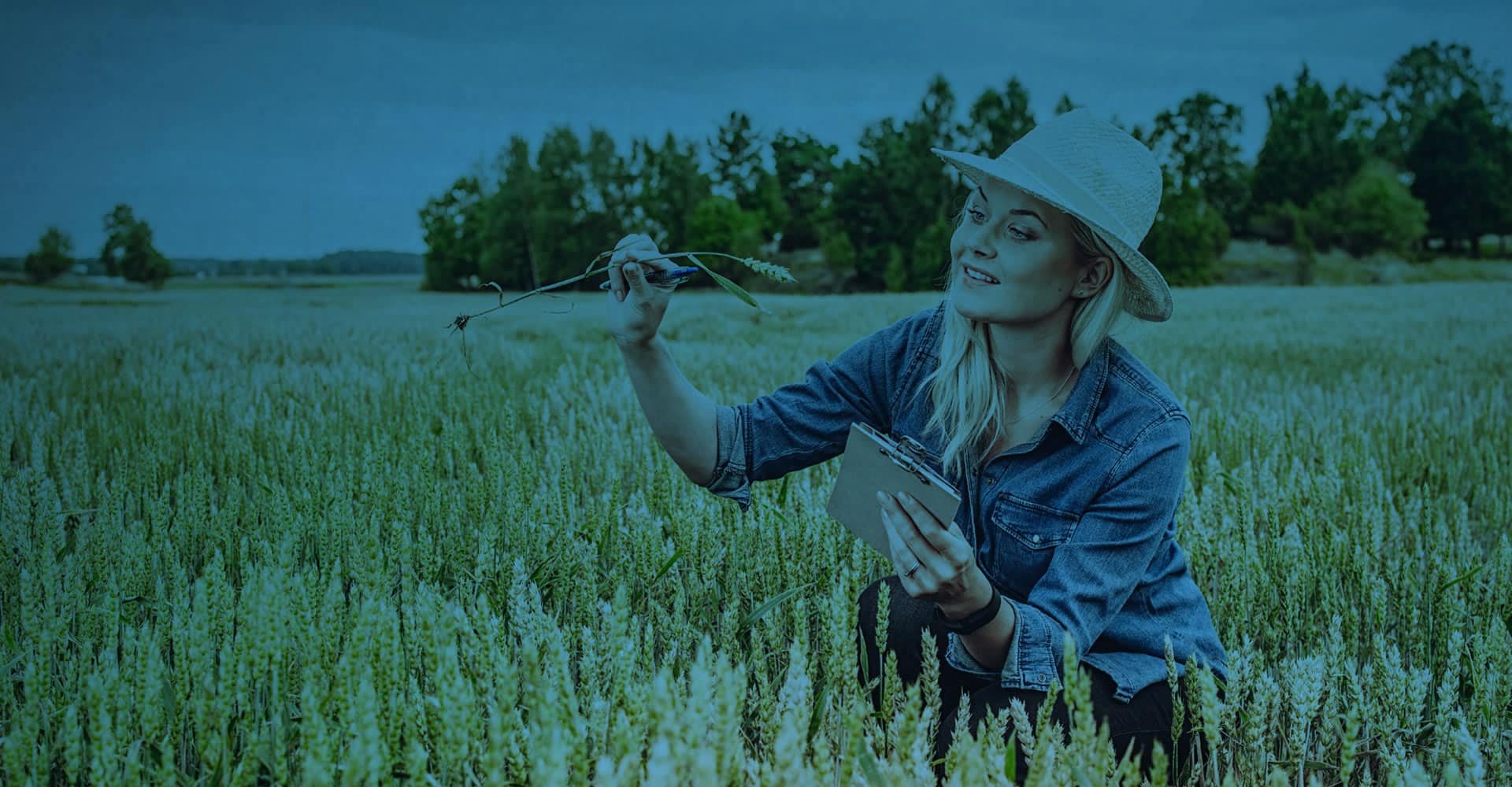 Associate of Agriculture