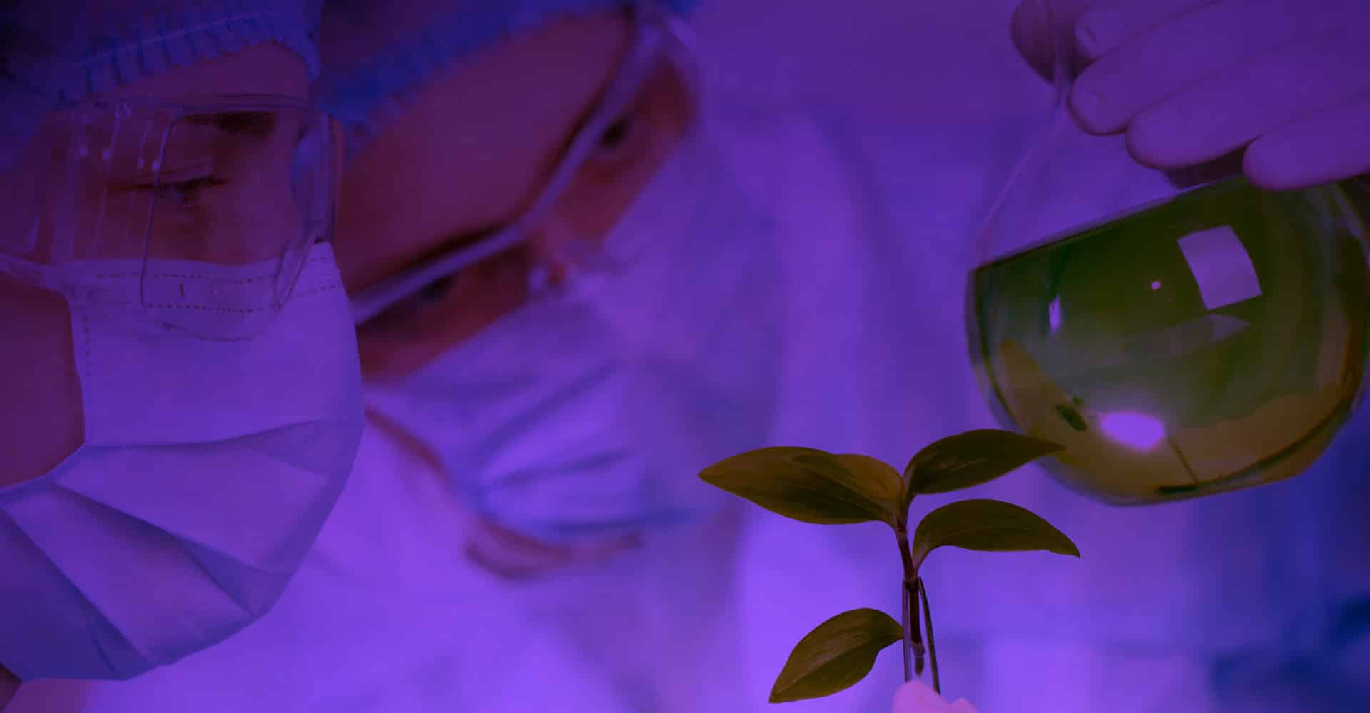 Doctorat en sciences géophysiques
