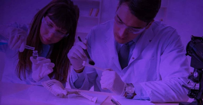 Doctorate in Physical Anthropology