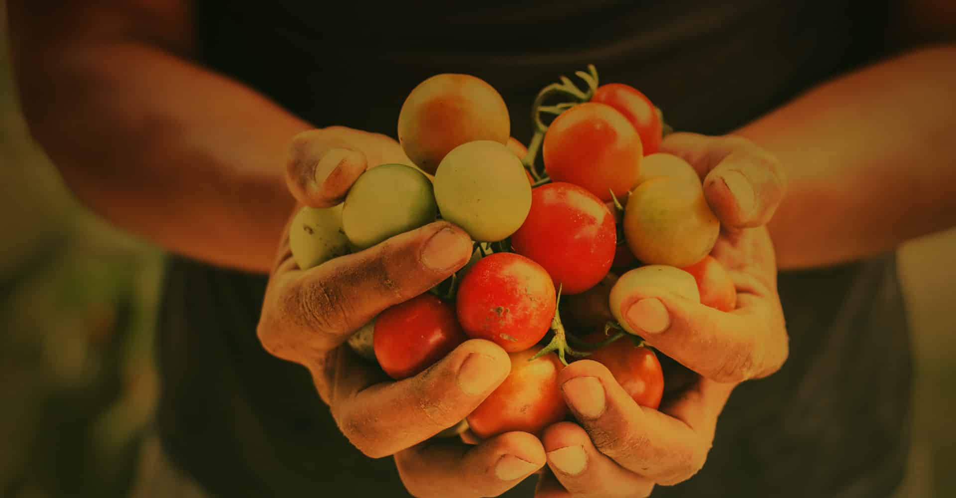 Master in Agriculture Food And Resources