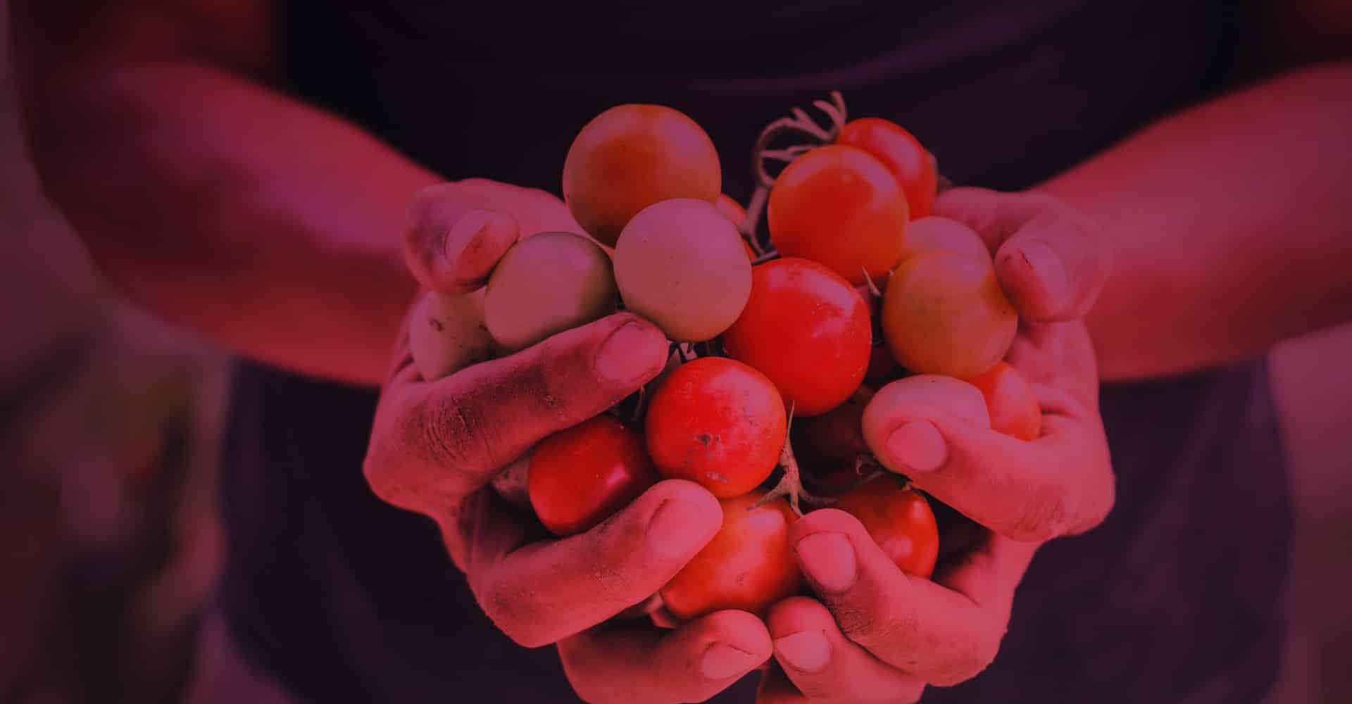 Associate in Agriculture Food And Resources