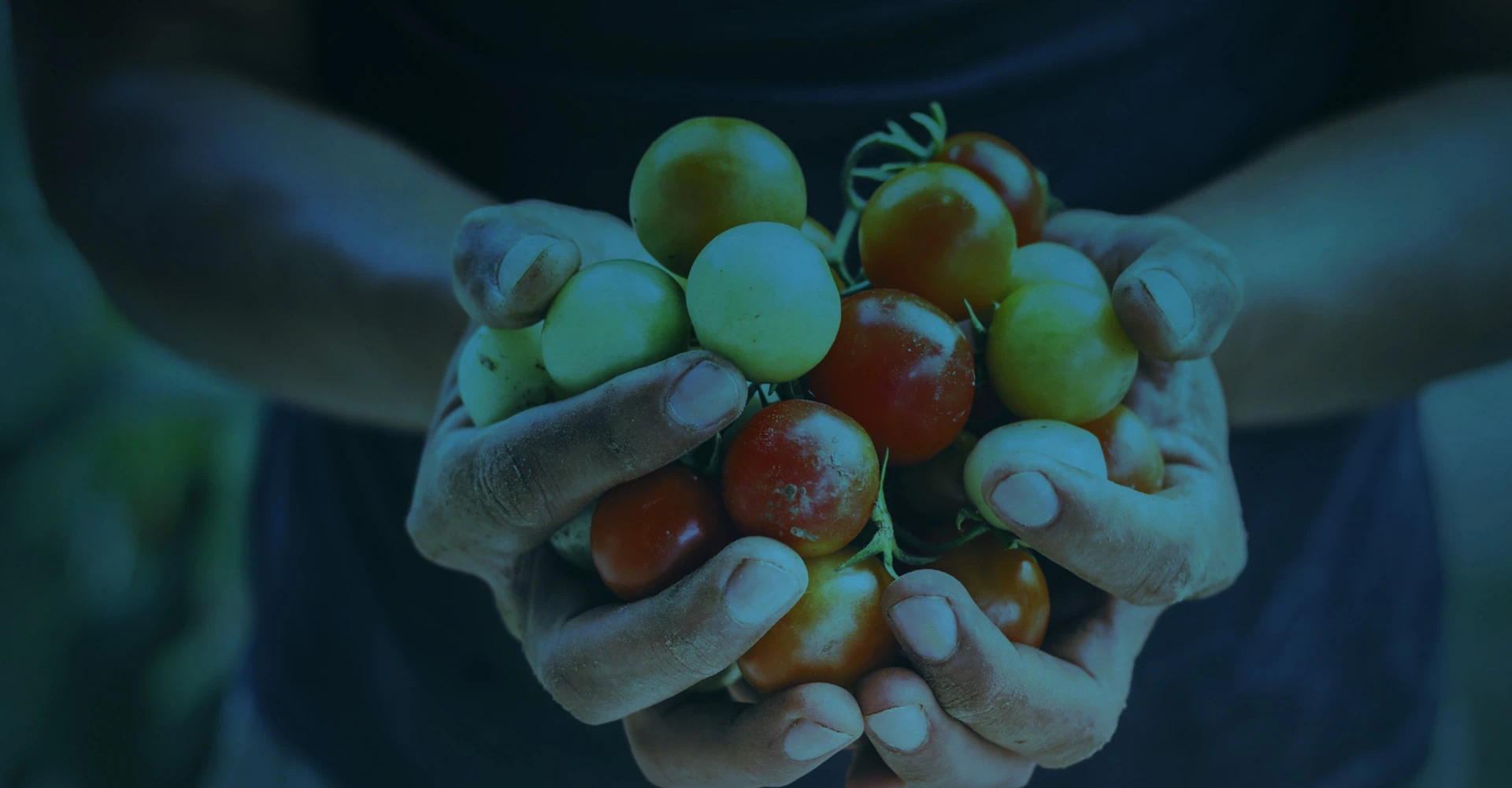 agriculture food and resources