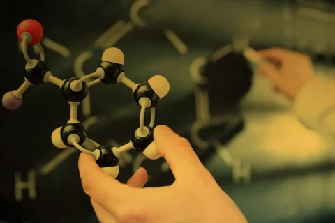 Master in Synthetic Biology 