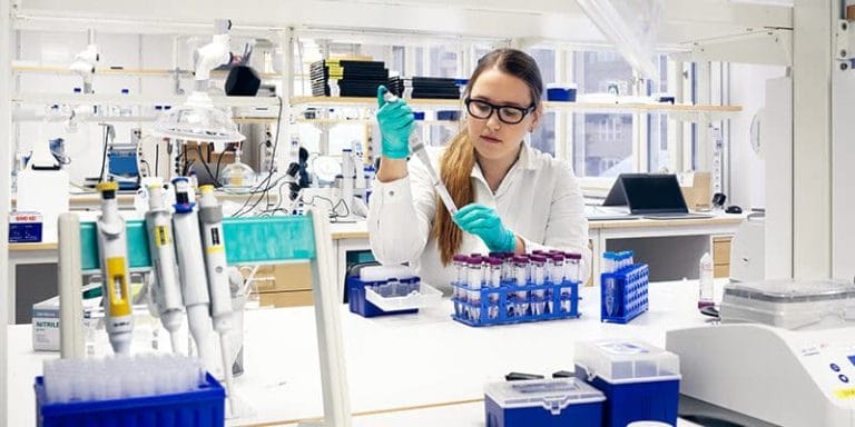 Bachelor in Synthetic Biology