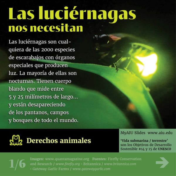 68MyAIUSlidesSpanish01
