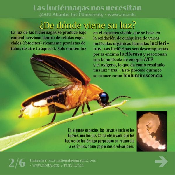 68MyAIUSlidesSpanish02
