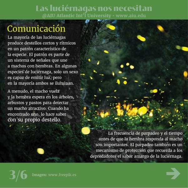 68MyAIUSlidesSpanish03