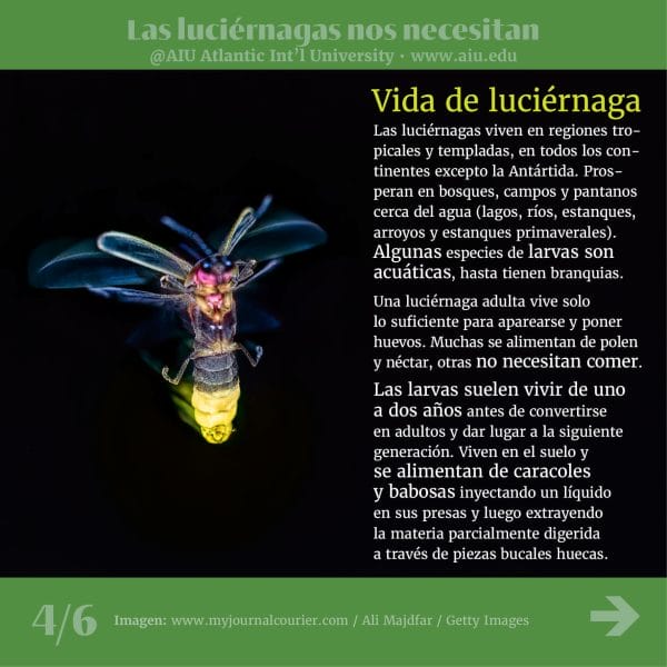 68MyAIUSlidesSpanish04