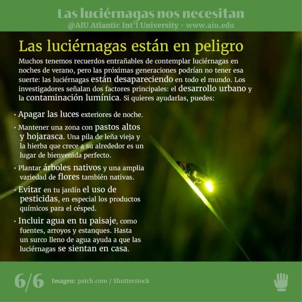 68MyAIUSlidesSpanish06