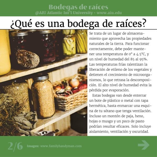 73MyAIUSlidesSpanish02
