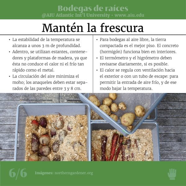73MyAIUSlidesSpanish06