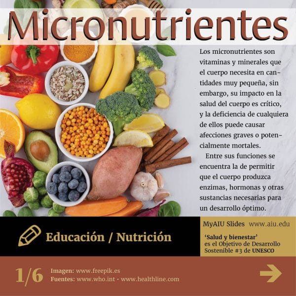 81MyAIUSlidesSpanish01
