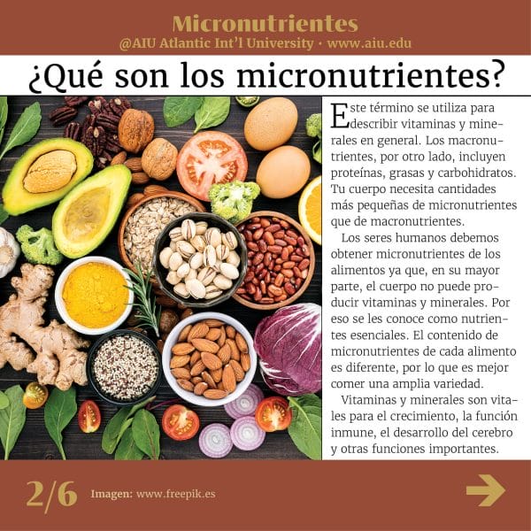81MyAIUSlidesSpanish02