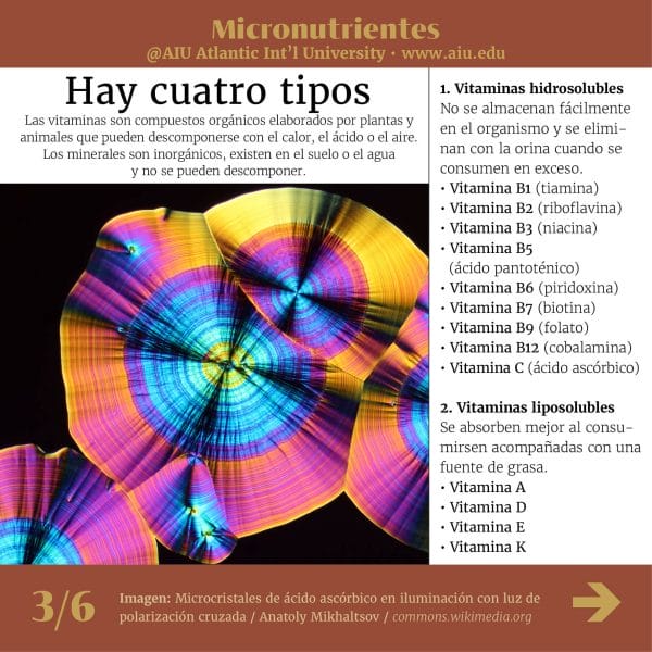 81MyAIUSlidesSpanish03