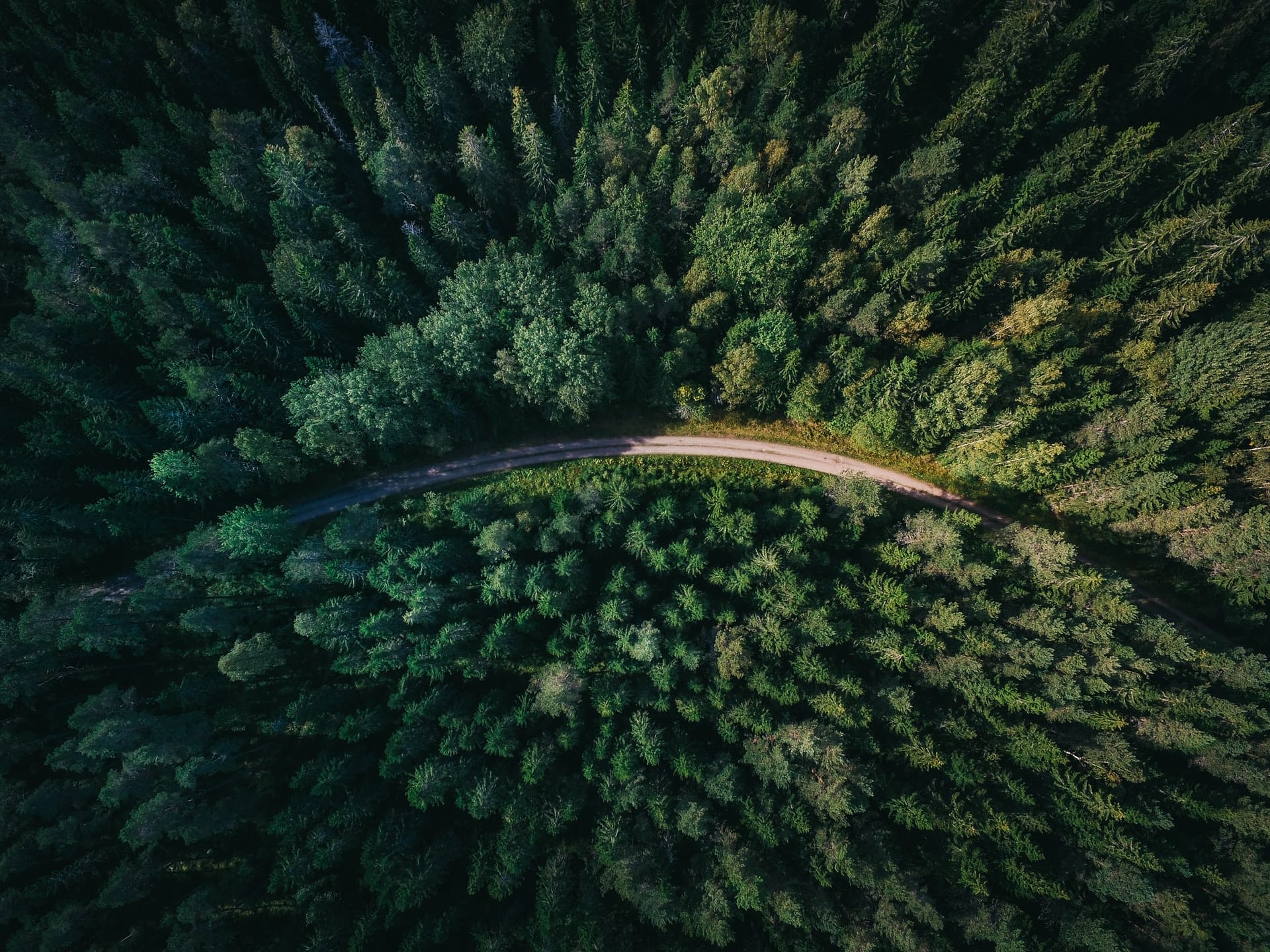 geran de klerk qzgN45hseN0 unsplash