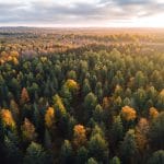 A Strategy to Preserve Minnesota’s Forests