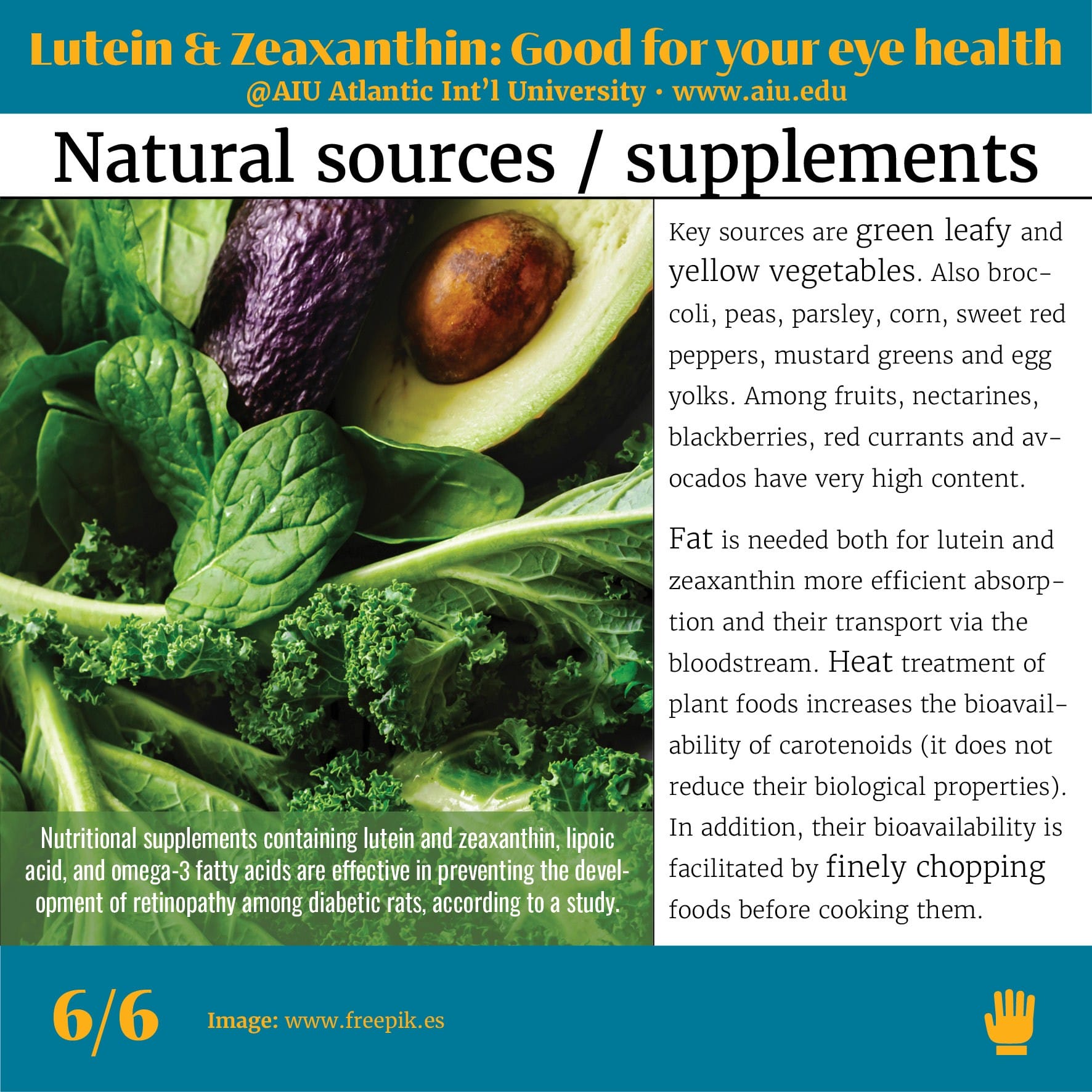 glutathione astaxanthin lutein and zeaxanthin uses 5 Key Benefits of Lutein and Zeaxanthin for Your Health - aiu slides