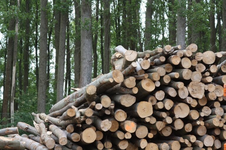 Bachelors in Biomass Briquetting