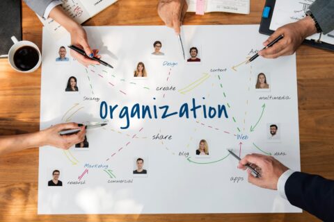 Organization-Team-Work