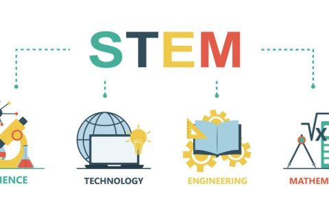 What Does STEM Mean in Education