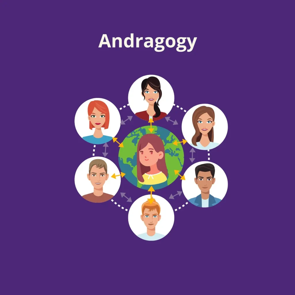 andragogy