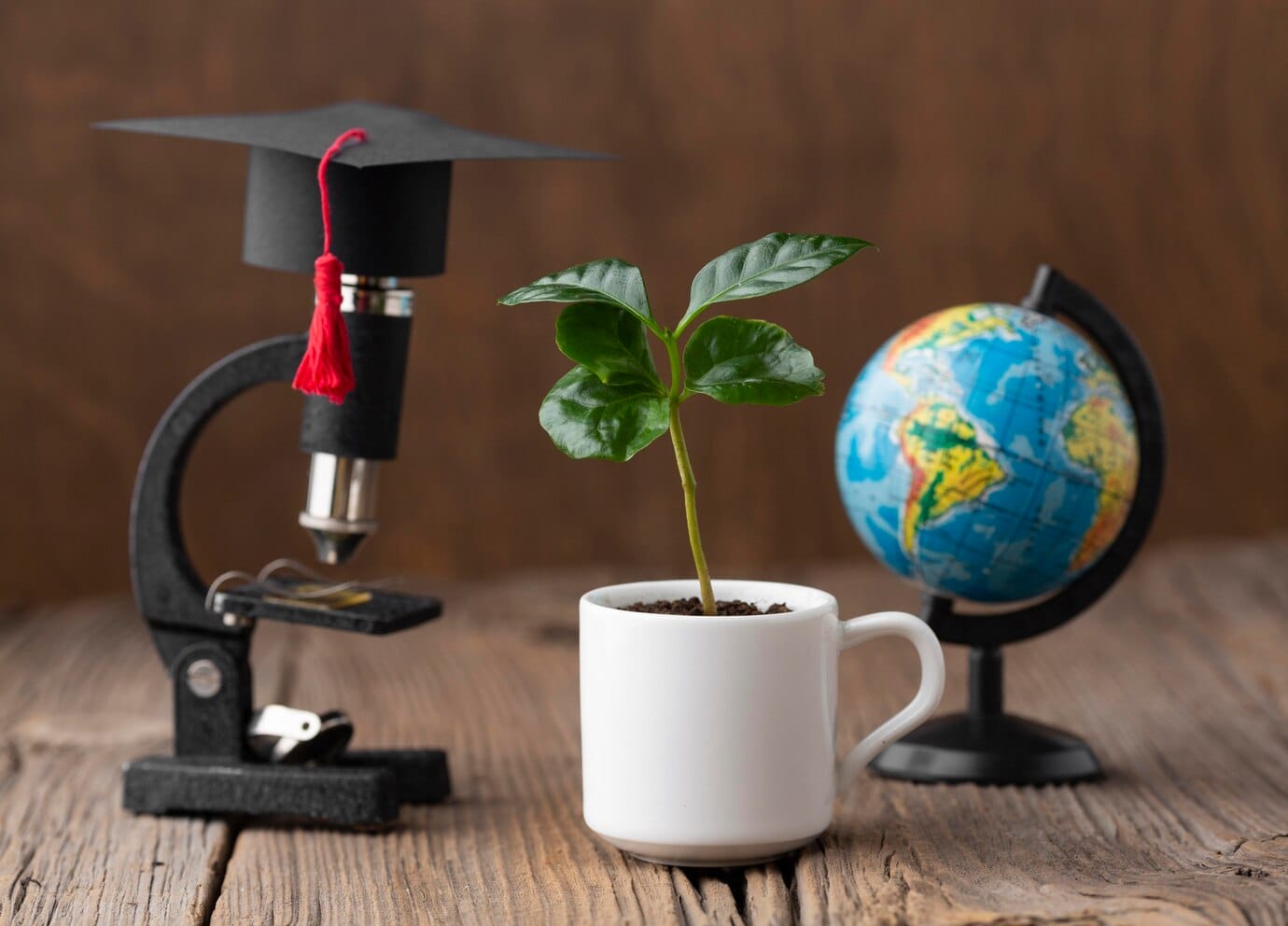 arrangement with microscope plant 23 2148785050