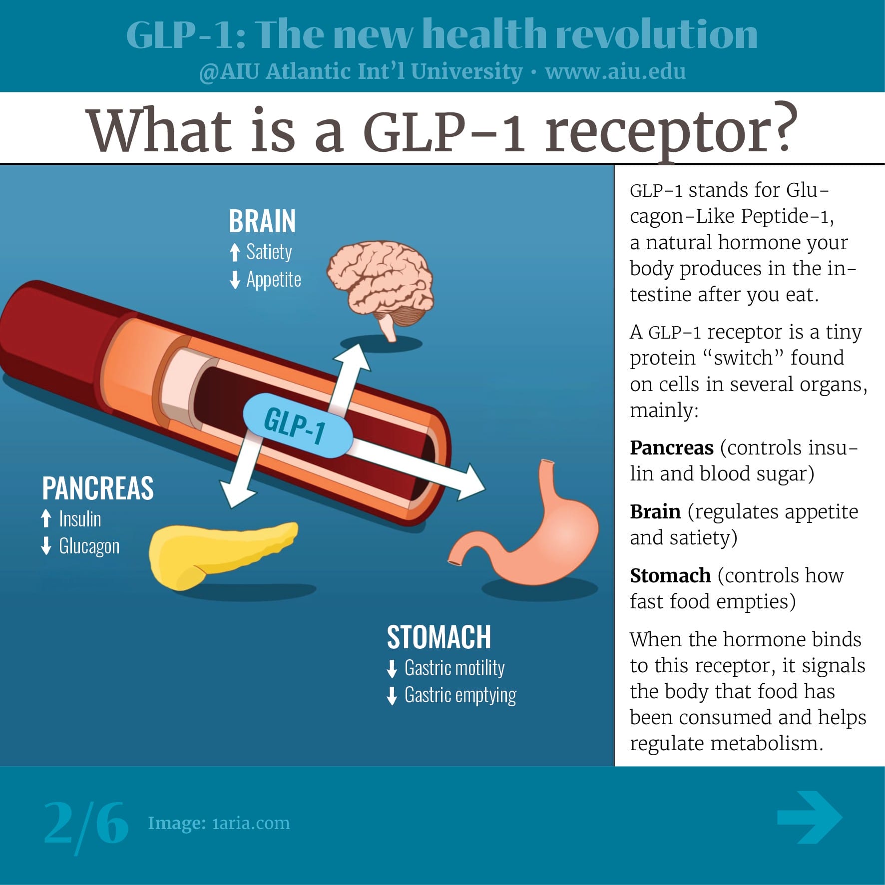 GLP-1: The New Health Revolution - aiu slides - Atlantic International University GLP-1: The New Health Revolution - aiu slides - Atlantic International University