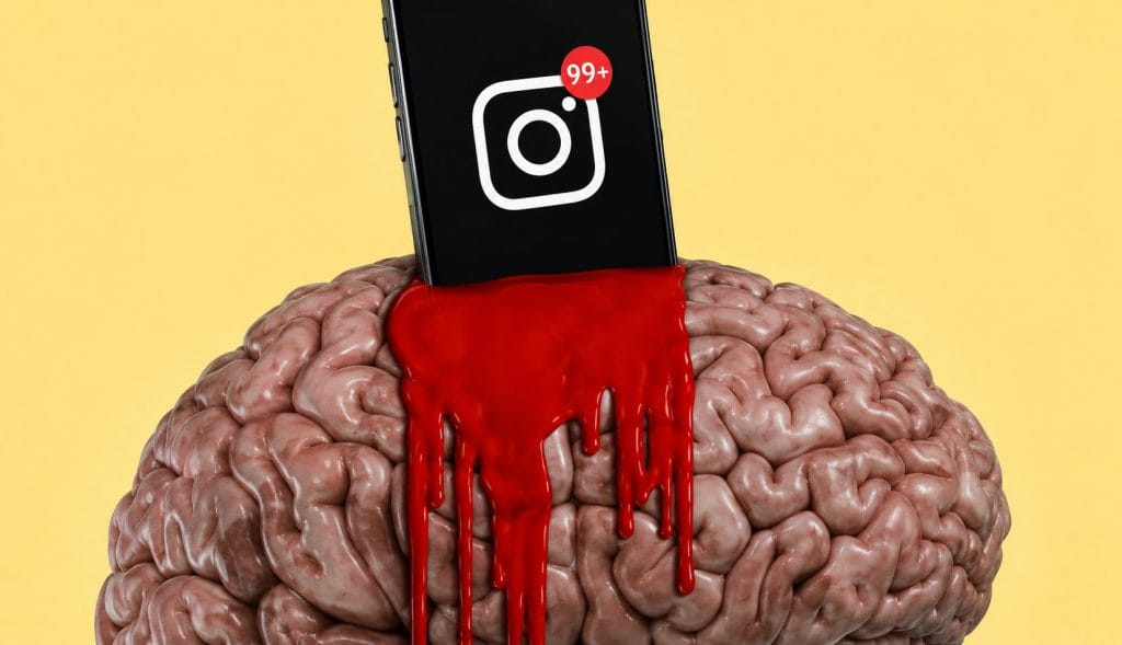 Connectivity
