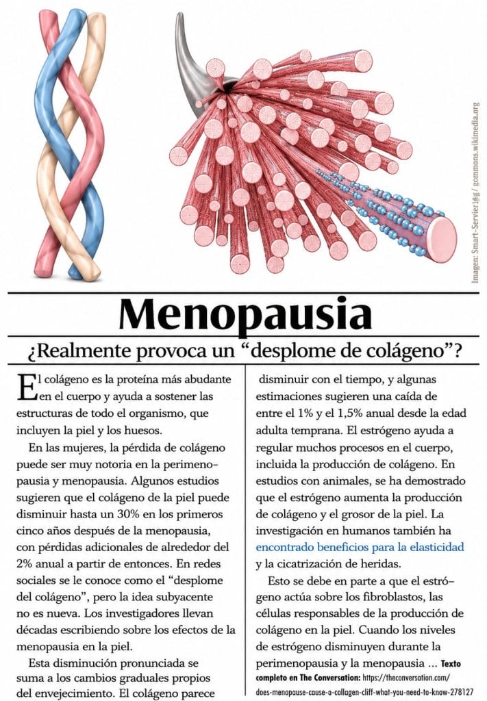Meno Spanish